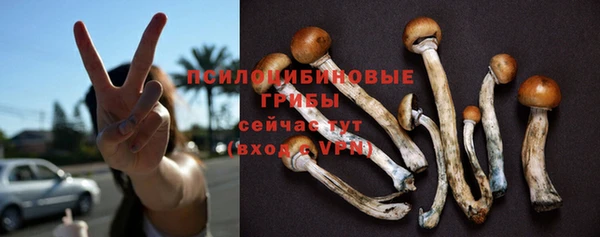 экстази Заводоуковск