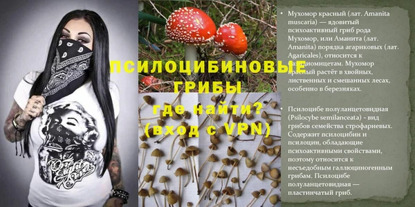 мдпв Заволжск