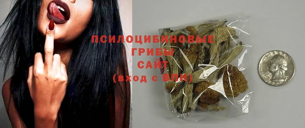 экстази Заводоуковск
