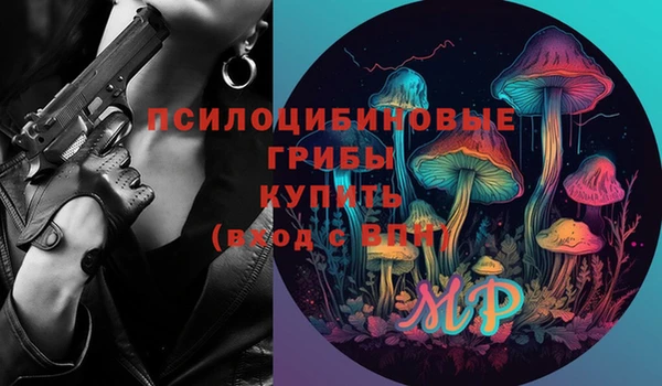 мдпв Заволжск