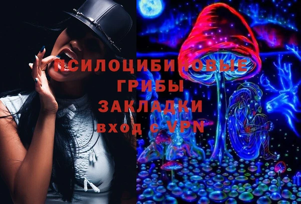 твердый Зерноград